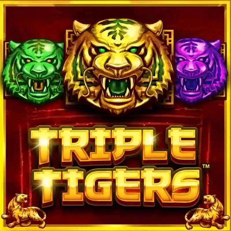 Triple Tigers Slot